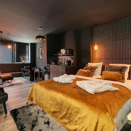 Encorps Nuit, Jacuzzi, Centre Gare Congres, Parking Daire *