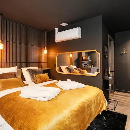 Daire Encorps Nuit, Jacuzzi, Centre Gare Congres, Parking Nancy