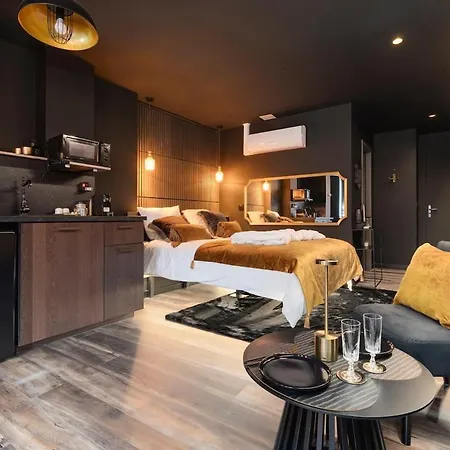 Daire Encorps Nuit, Jacuzzi, Centre Gare Congres, Parking Nancy