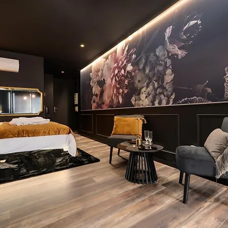 Apartment Encorps Nuit, Jacuzzi, Centre Gare Congres, Parking