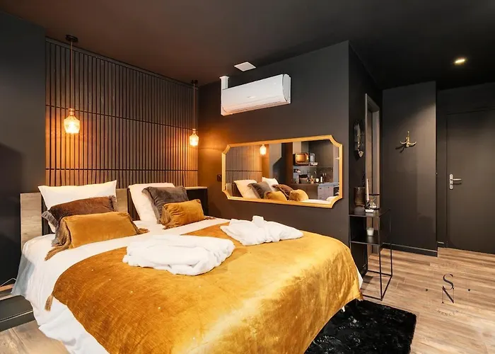 Daire Encorps Nuit, Jacuzzi, Centre Gare Congres, Parking Nancy