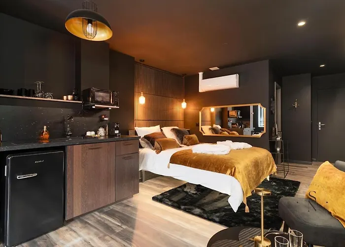 公寓 Encorps Nuit, Jacuzzi, Centre Gare Congres, Parking *