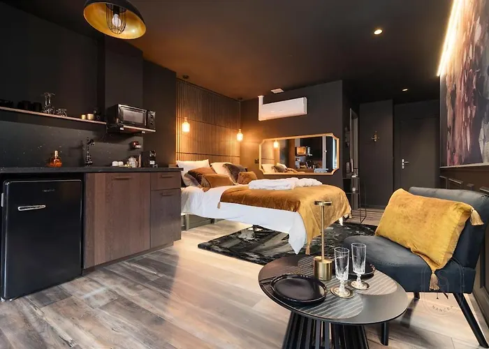 公寓 Encorps Nuit, Jacuzzi, Centre Gare Congres, Parking 南锡