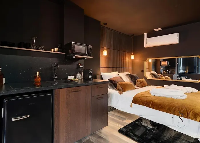 Encorps Nuit, Jacuzzi, Centre Gare Congres, Parking Daire Nancy